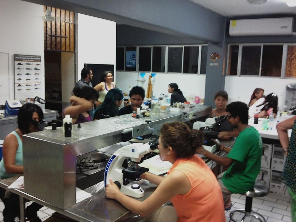 ¿Que es la Licenciatura en&nbsp;Hidrobiologia?