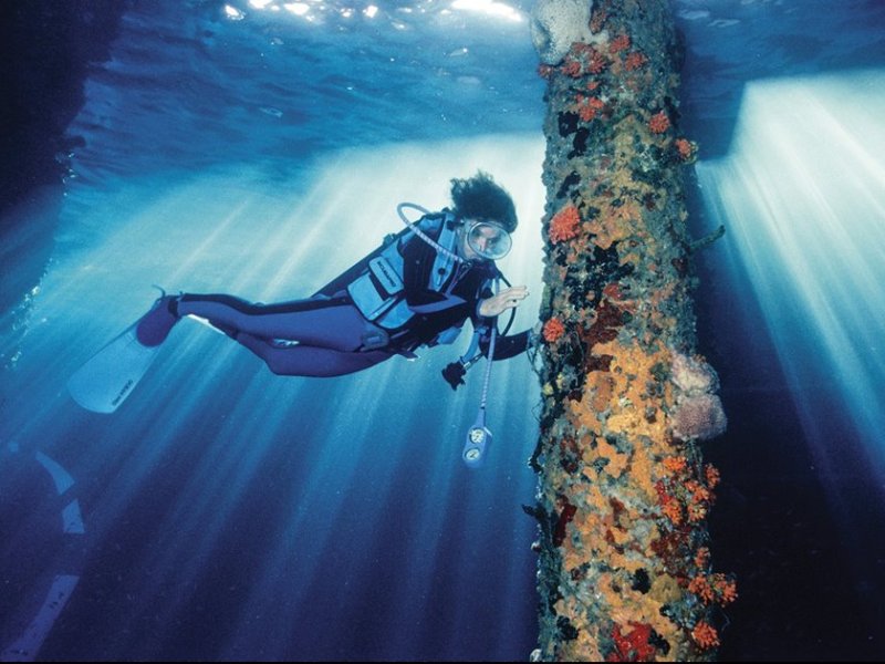 Sylvia Earle: la mujer que cambió nuestra forma de ver los&nbsp;océanos