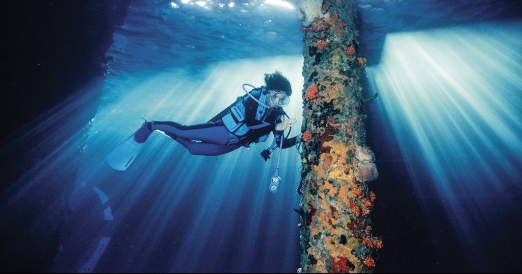 Sylvia Earle: la mujer que cambió nuestra forma de ver los&nbsp;océanos